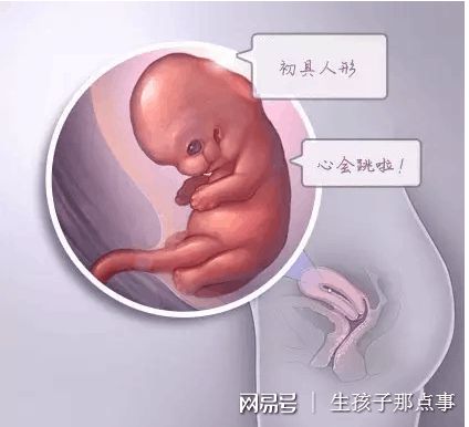 培养箱